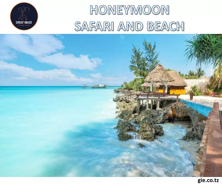 honeymoon safari and beach