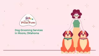 Dog Grooming Services In Moore, Oklahoma