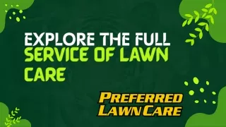 Explore The Full Service Of Lawn care