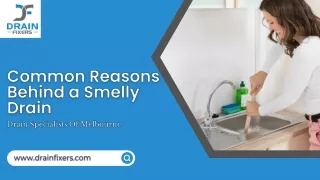 Common Reasons Behind a Smelly Drain