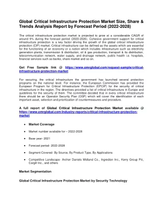 Global Critical Infrastructure Protection Market