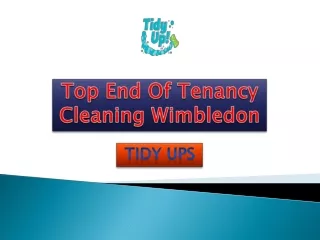 Top End Of Tenancy Cleaning Wimbledon