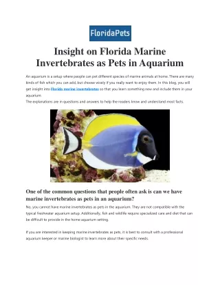 Insight on Florida Marine Invertebrates as Pets in Aquarium
