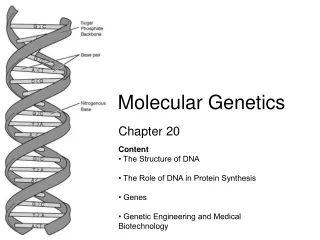 Molecular Genetics (part 1)