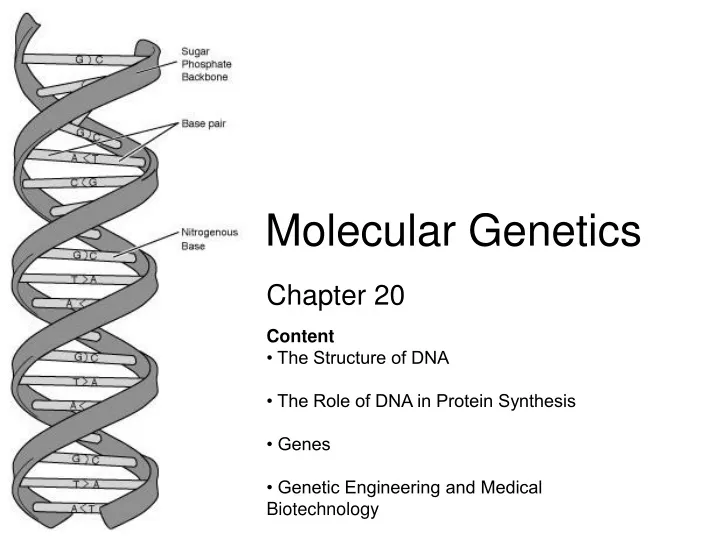 molecular genetics