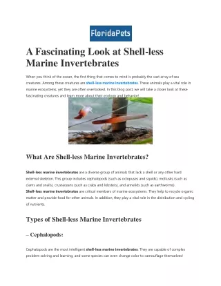 A Fascinating Look at Shell-less Marine Invertebrates