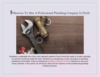 5 Reasons To Hire A Professional Plumbing Company In Perth