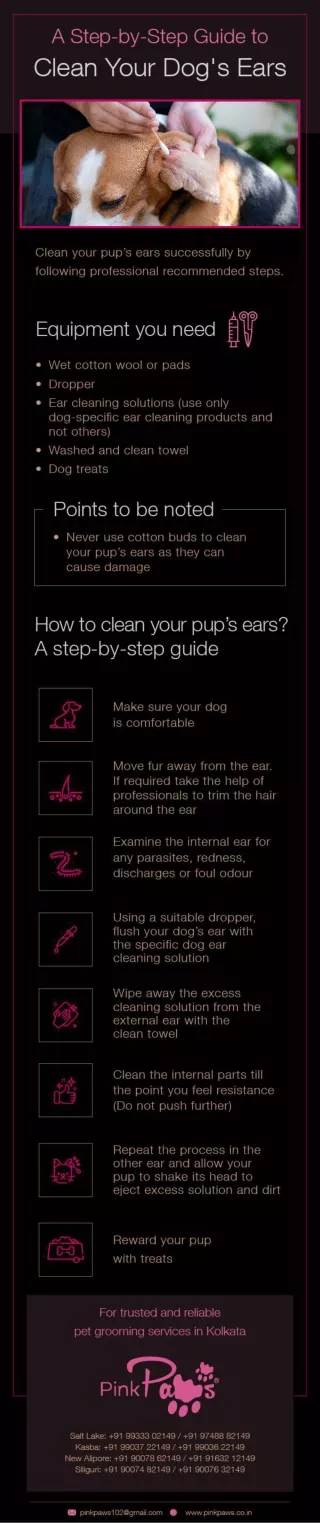 A Step-by-Step Guide to Clean Your Dog's Ears
