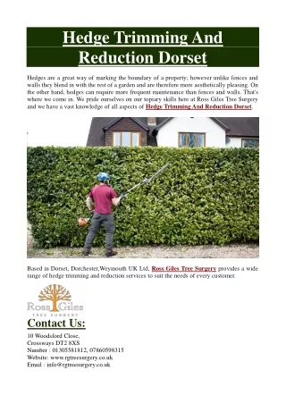 Hedge Trimming And Reduction Dorset
