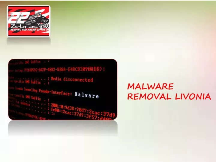 malware removal livonia