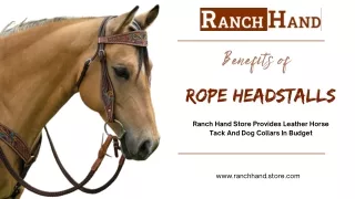 _Benefits of  Rope Headstalls