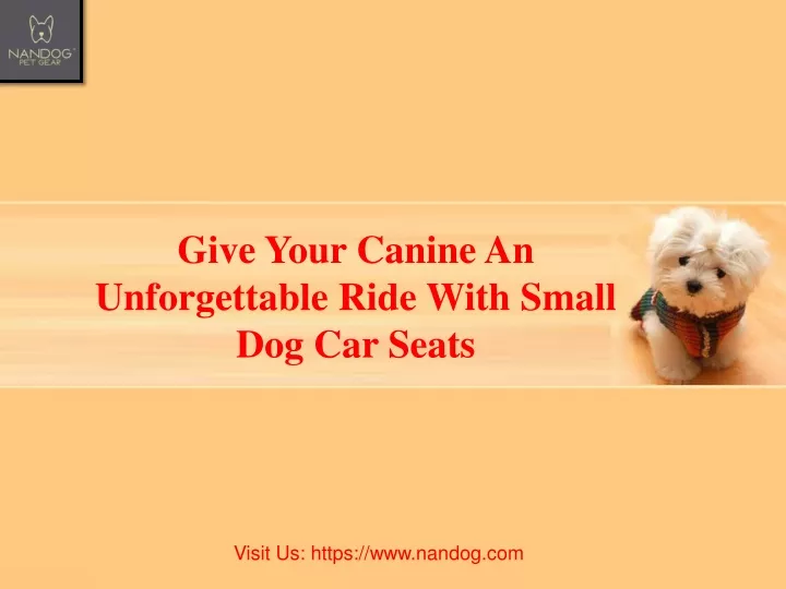 give your canine an unforgettable ride with small dog car seats