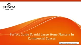 Perfect Guide To Add Large Stone Planters In Commercial Spaces