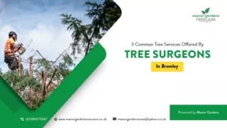 3 Common Tree Services Offered By Tree Surgeons In Bromley