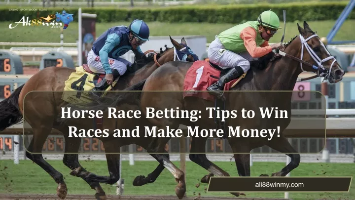 horse race betting tips to win races and make