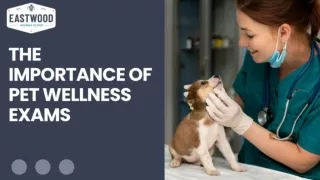 The Importance Of Pet Wellness Exams