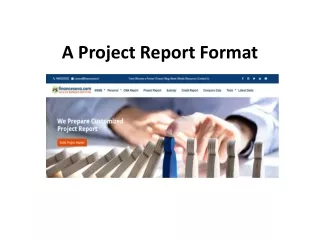 a project report format