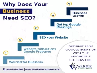 SEO Services Petaluma