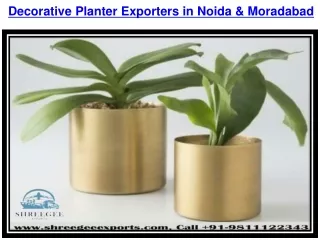 Decorative Planter Exporters in Noida & Moradabad And Home Decorative Products M