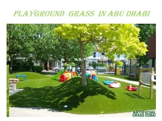 playground grass in abu dhabi