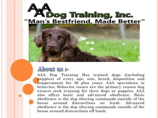 Dog Training Ellicott City
