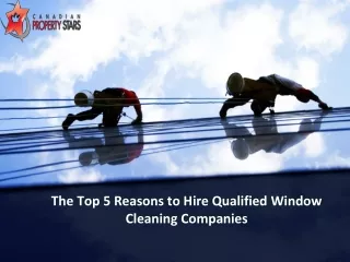 The Top 5 Reasons to Hire Qualified Window Cleaning Companies