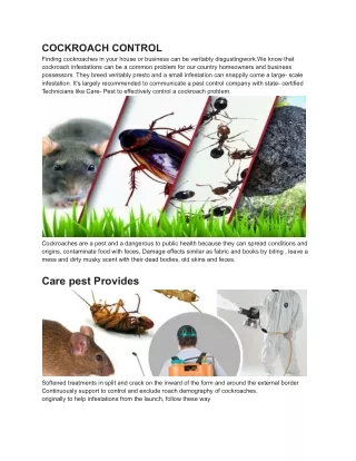 COCKROACH CONTROL