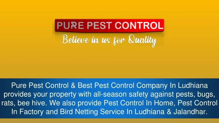pure pest control best pest control company