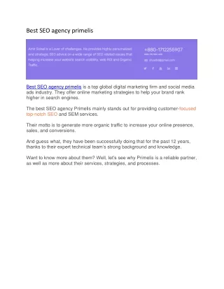 Best SEO agency primelis