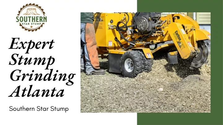 expert stump grinding atlanta