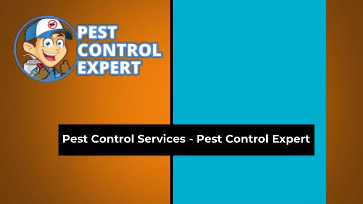 pe st control services pest control expert