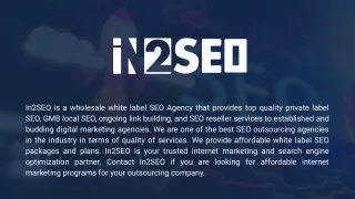 in2seo is a wholesale white label seo agency that