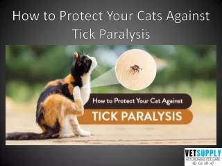 how to protect your cats against tick paralysis