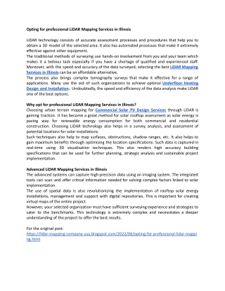opting for professional lidar mapping services