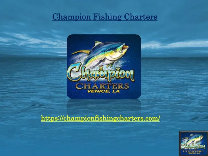 champion fishing charters