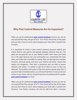 Why Pest Control Measures Are So Important