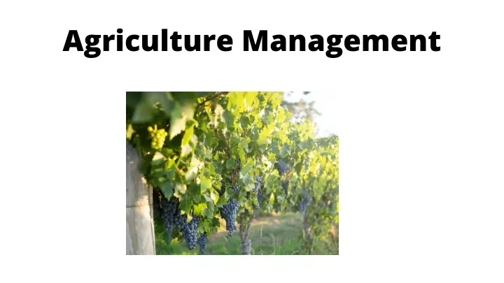 agriculture management