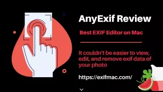 anyexif review