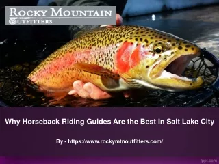 Why Horseback Riding Guides Are the Best In Salt Lake City