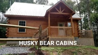 3 bear mountain cabin