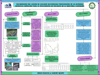 METABOLISMO DEL AZUFRE DE AISLADOS BACTERIANOS PROVENIENTES DE UN HUMEDAL ARTIFICIAL EMPLEADO PARA EL TRATAMIENTO DE EFL
