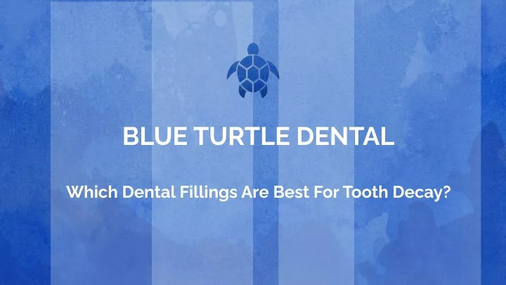 blue turtle dental