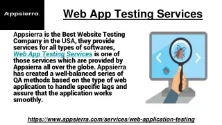 web app testin g services
