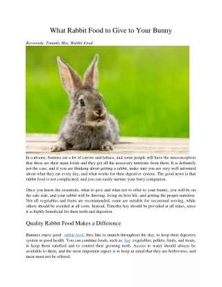 what rabbit food to give to your bunny
