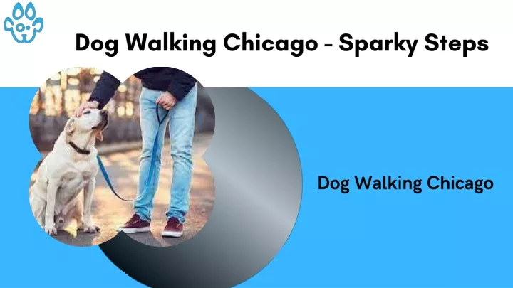 dog walking chicago sparky steps