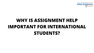 why is assignment help important