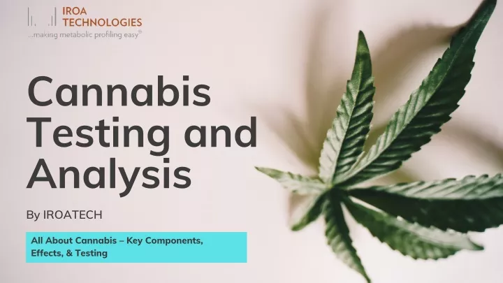 cannabis testing and analysis