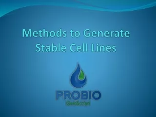 Methods to Generate Stable Cell Lines