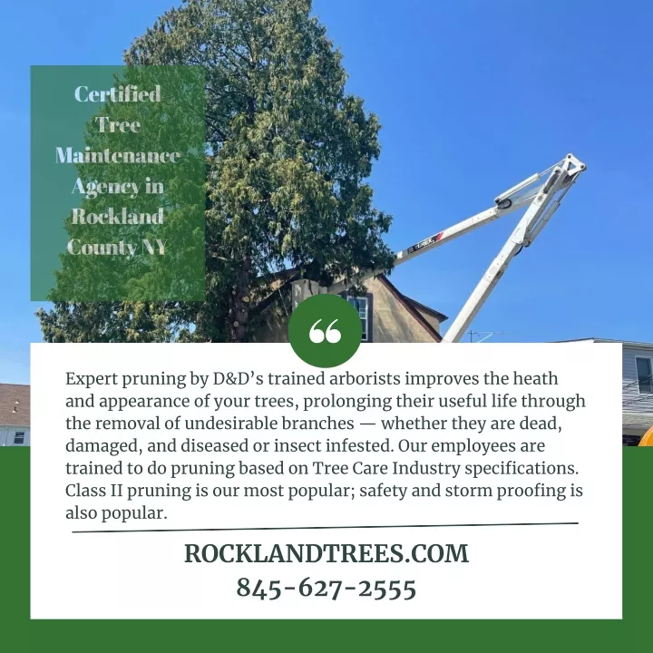 certified tree maintenance agency in rockland