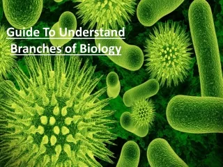 An Ultimate Guide To Understand Crucial Branches of Biology